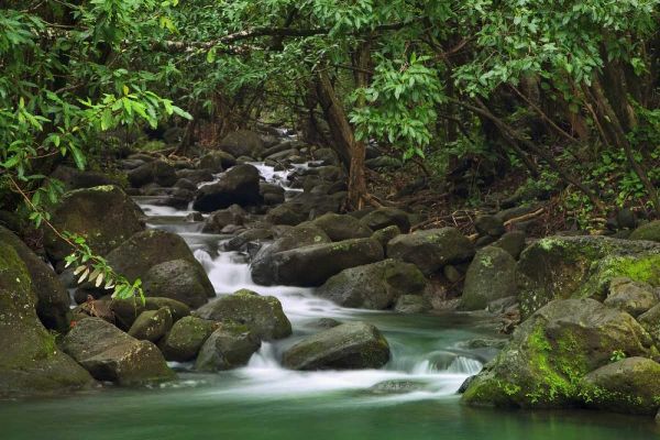 Hawaii, Kauai Creek flowing from a rainforest